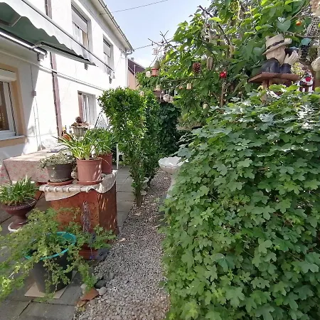 Homestay Ildiko Vendeghaz *