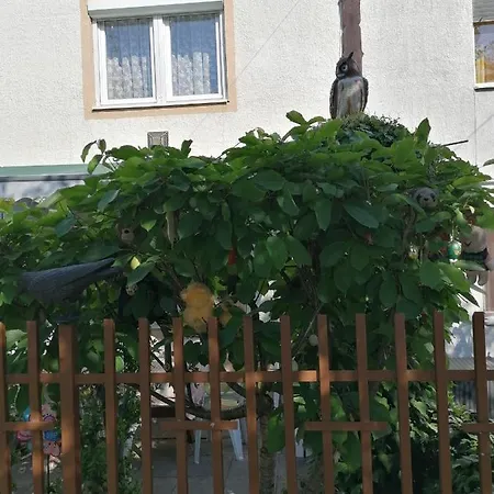 Ildiko Vendeghaz 홈스테이