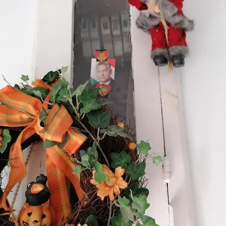 홈스테이 Ildiko Vendeghaz