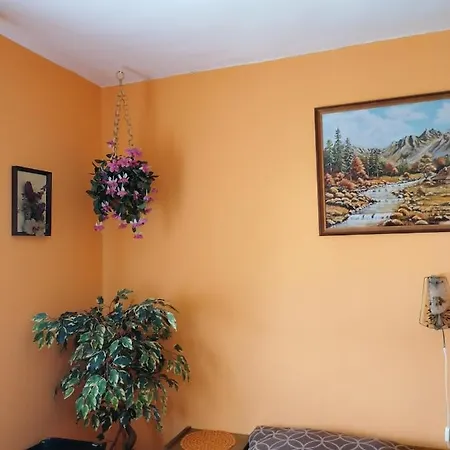 Проживание в семье Ildiko Vendeghaz