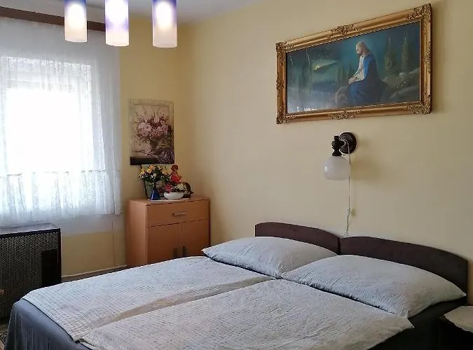 Homestay Ildiko Vendeghaz *