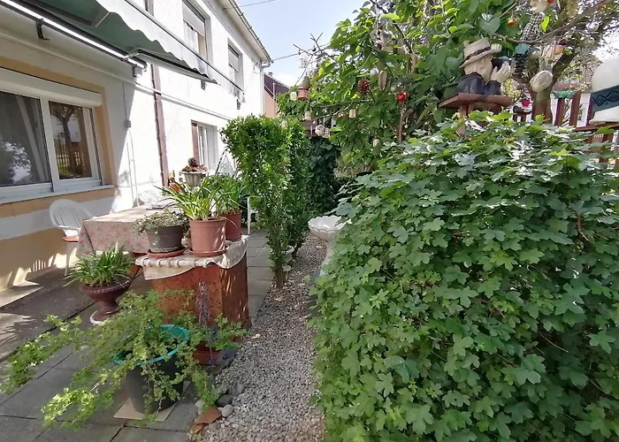 Homestay Ildiko Vendeghaz *