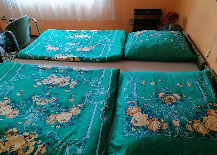 Homestay Ildiko Vendeghaz *