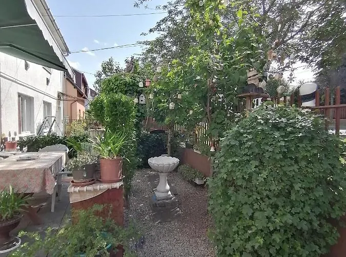 Homestay Ildiko Vendeghaz