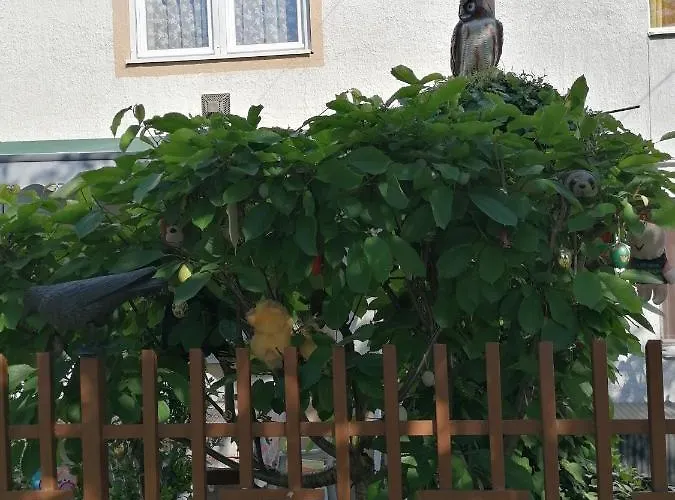 Ildiko Vendeghaz Homestay