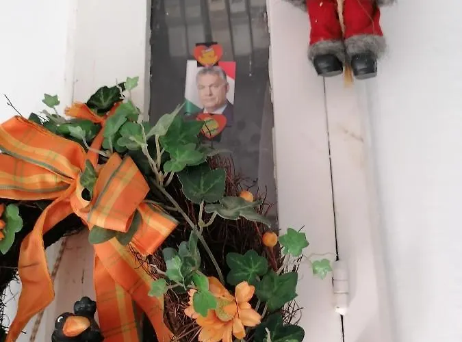 Homestay Ildiko Vendeghaz