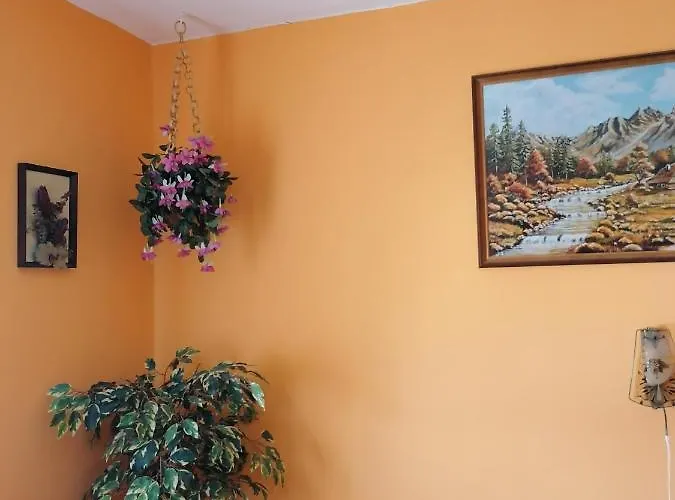 Homestay Ildiko Vendeghaz