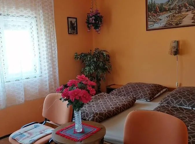 Ildiko Vendeghaz Heviz