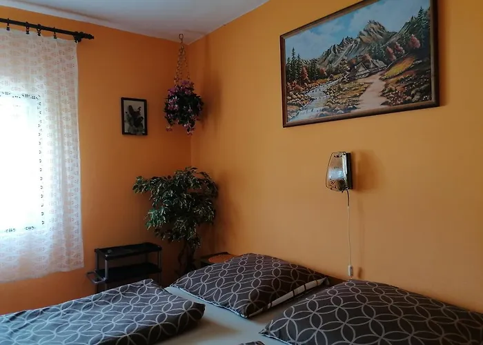 Ildiko Vendeghaz Homestay