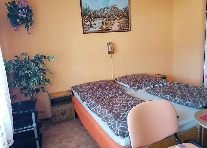 Ildiko Vendeghaz Homestay *